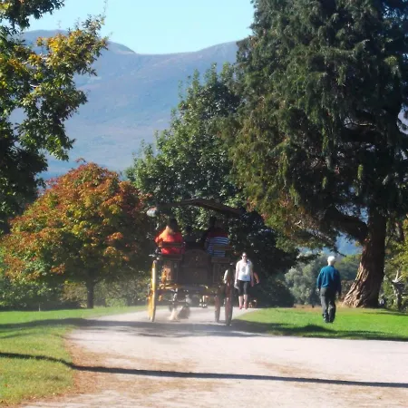 Dom wakacyjny No 31 Village Killarney