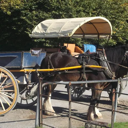 Vakantiehuis No 31 Village *