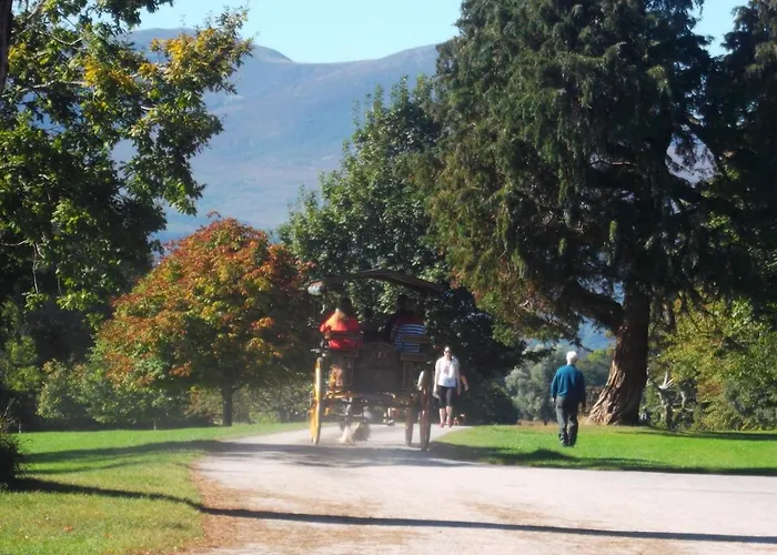 Dom wakacyjny No 31 Village Killarney