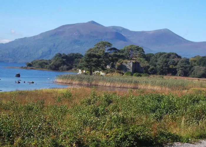 펜션 No 31 Village *