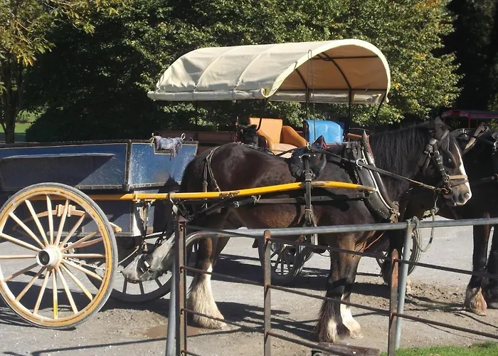 펜션 No 31 Village *